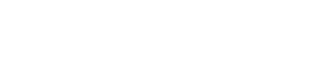 Website Secondary Logo